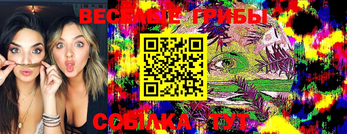 Карасук  Галлюциногенные грибы Cubensis  Псилоцибиновые грибы мухоморы  Вход с VPN 